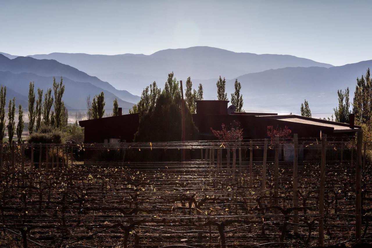 Miraluna Bodega Boutique Cachí Kültér fotó