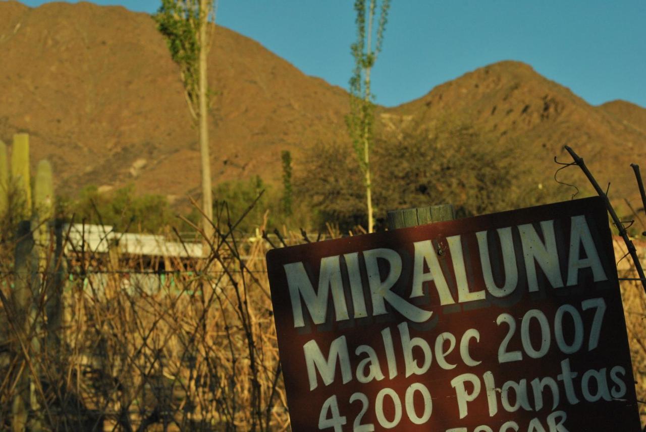 Miraluna Bodega Boutique Cachí Kültér fotó